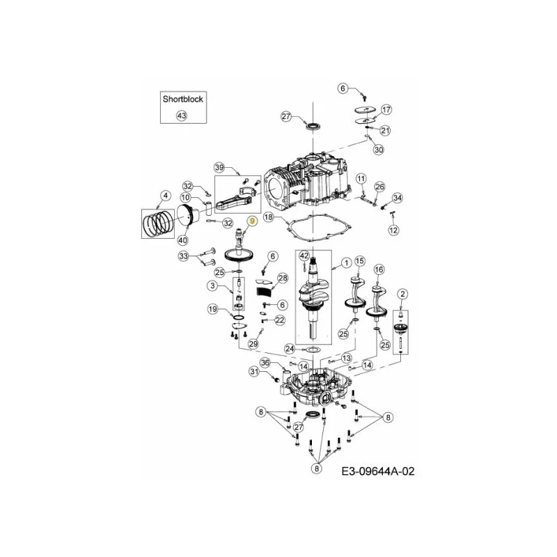 newgardenstore-22925643