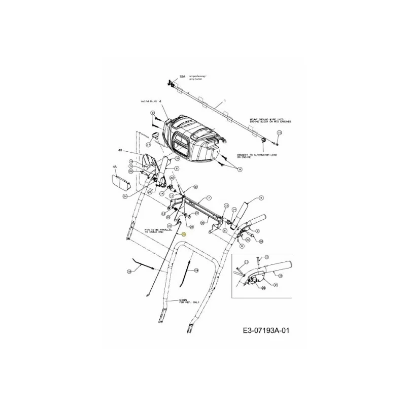 newgardenstore-22926478