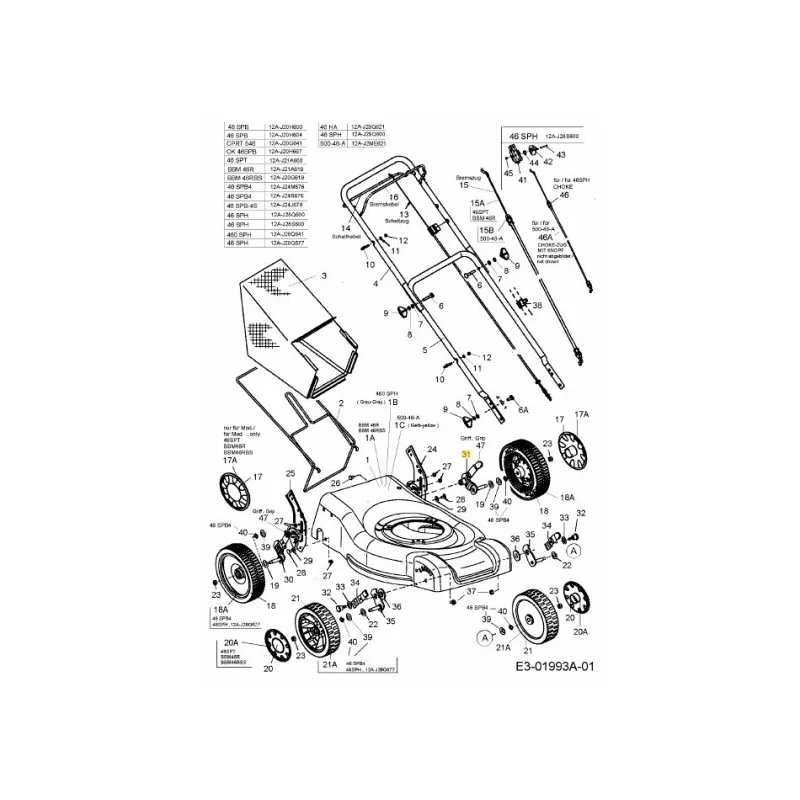 newgardenstore-22929115