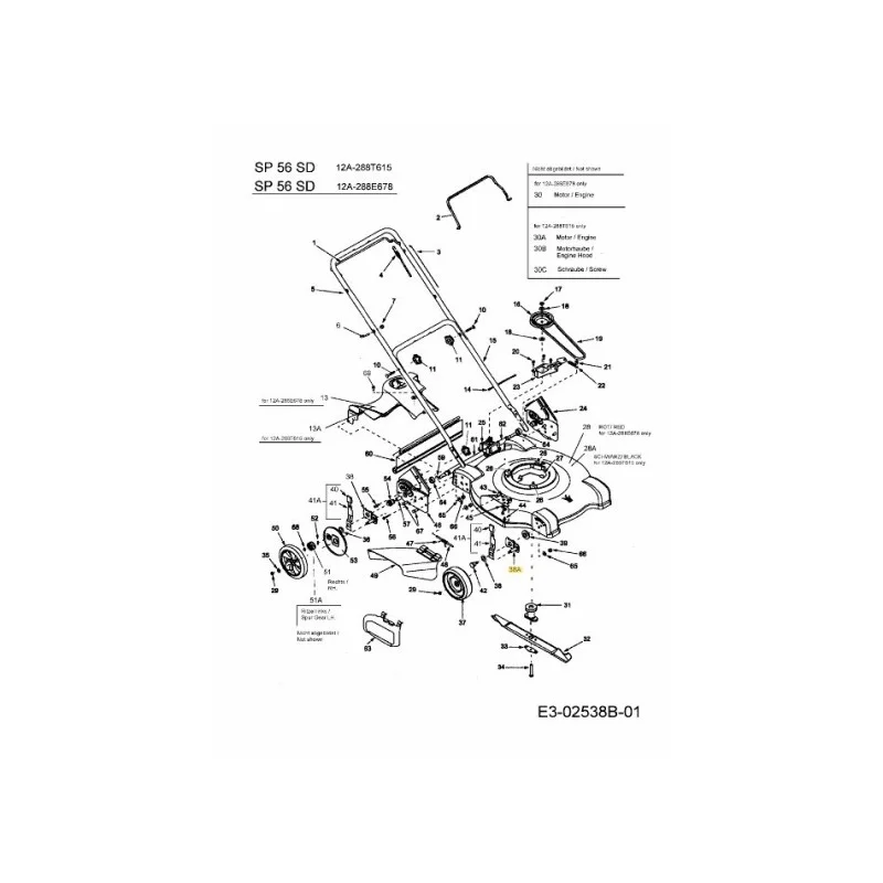 newgardenstore-22935157
