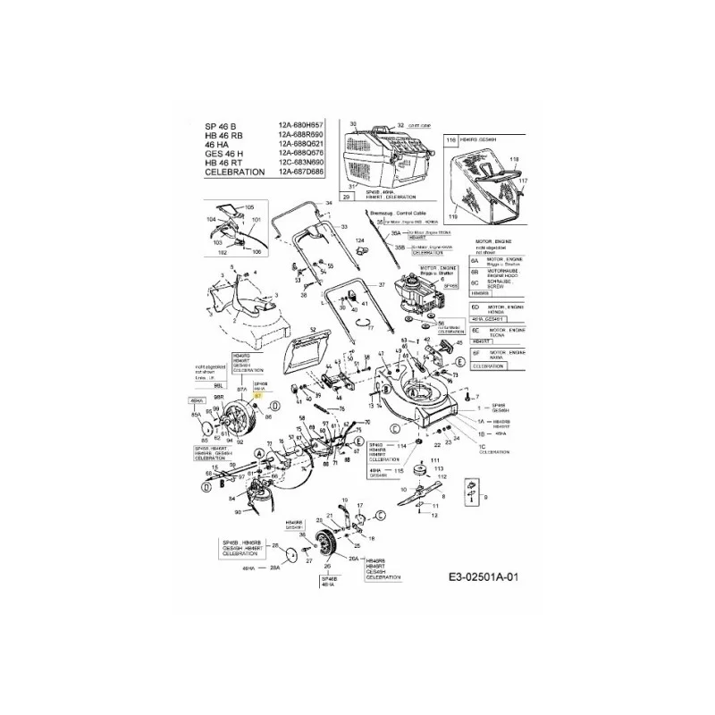 newgardenstore-22935908