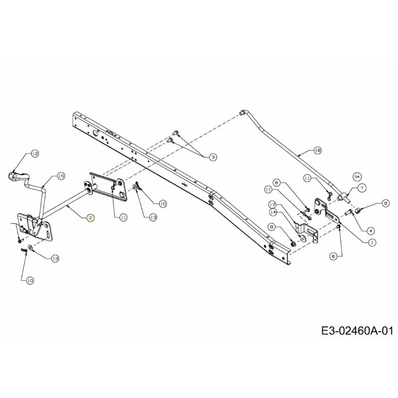 newgardenstore-22938039