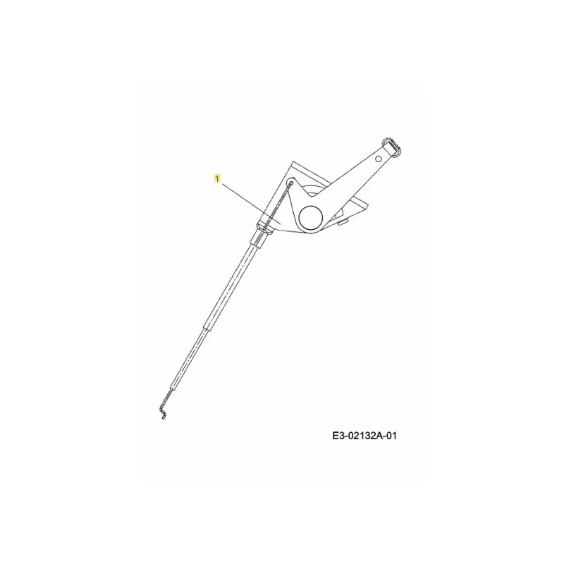 newgardenstore-22938491