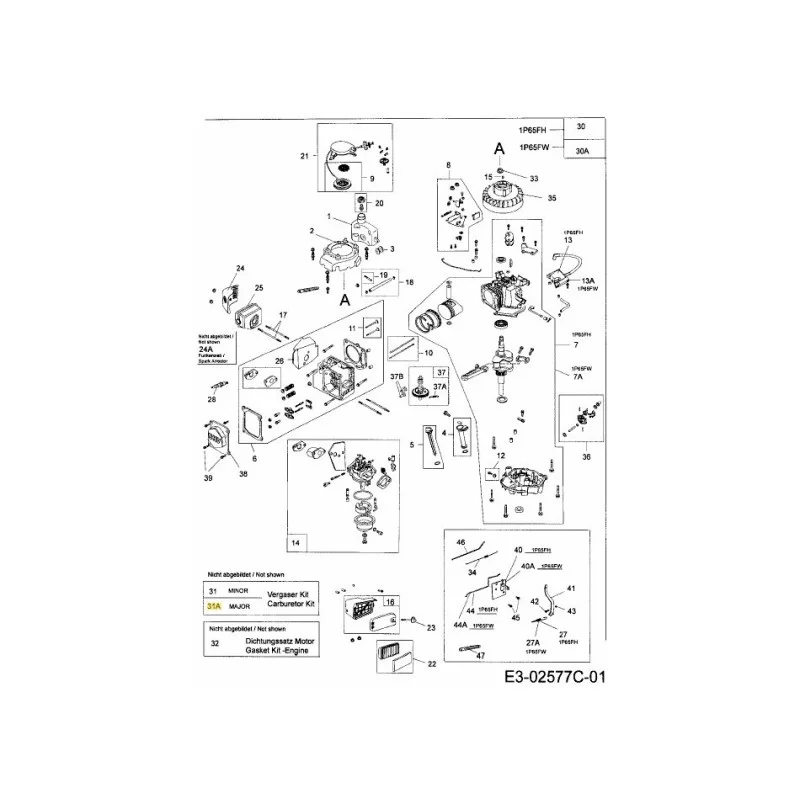 newgardenstore-22938761