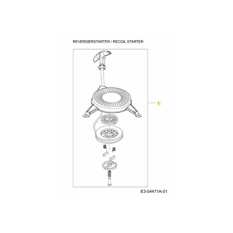 newgardenstore-22948965
