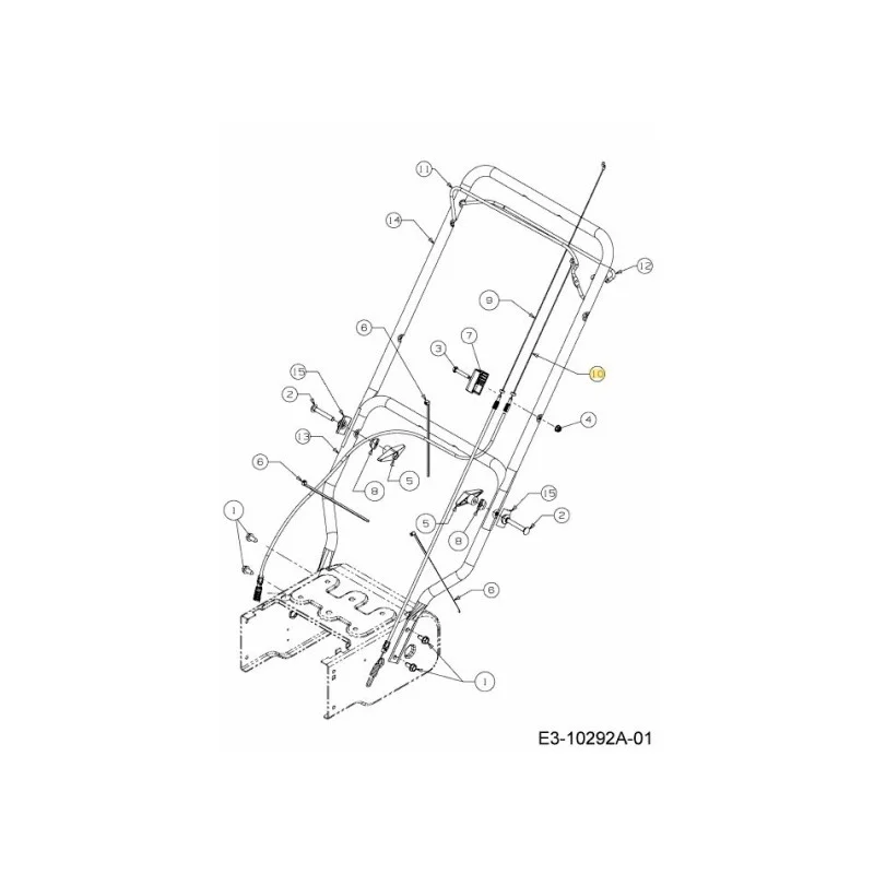 newgardenstore-22951797