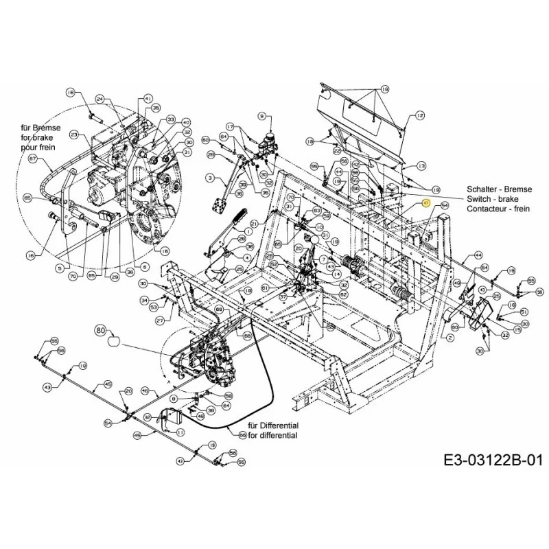 newgardenstore-22955895