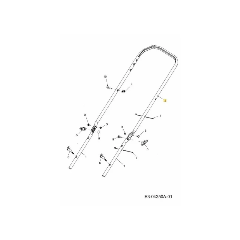 newgardenstore-22957065