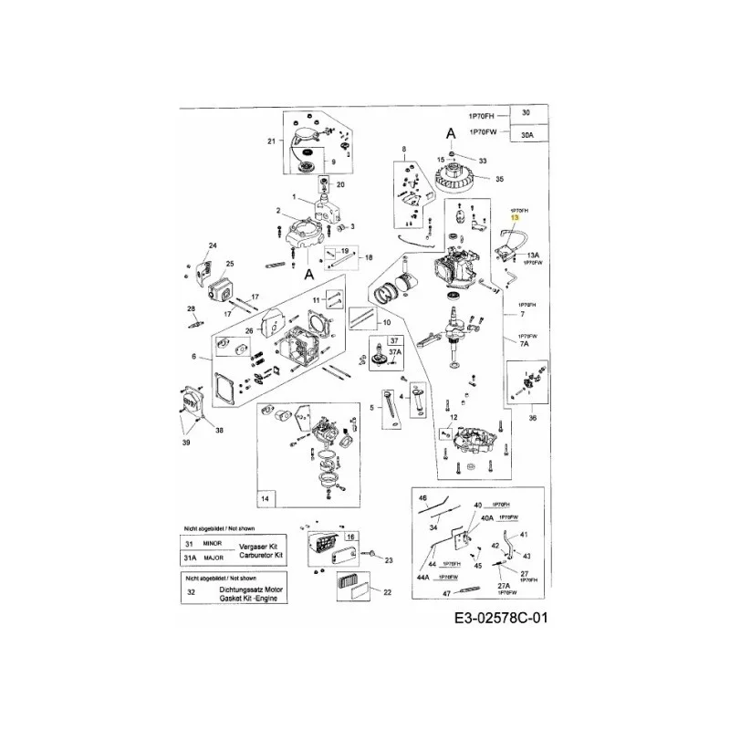 newgardenstore-22959744