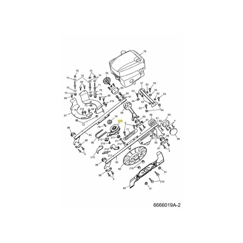 newgardenstore-22981332