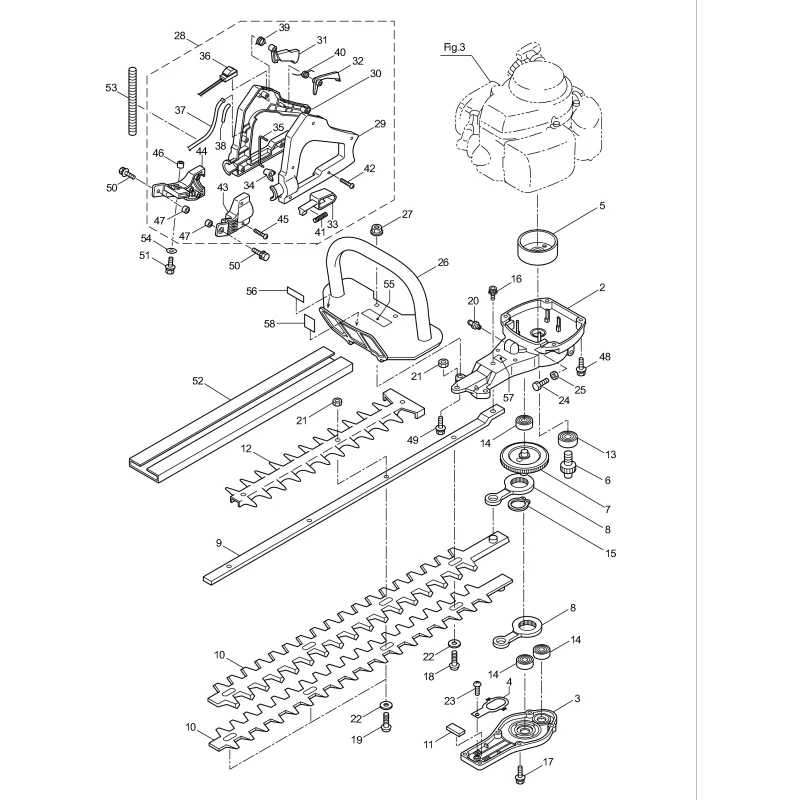newgardenstore-23178281
