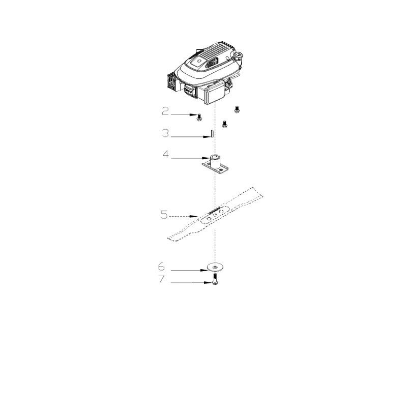 newgardenstore-23206686