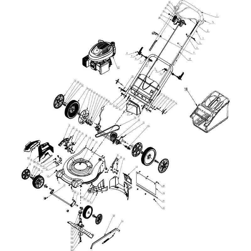 newgardenstore-23209972
