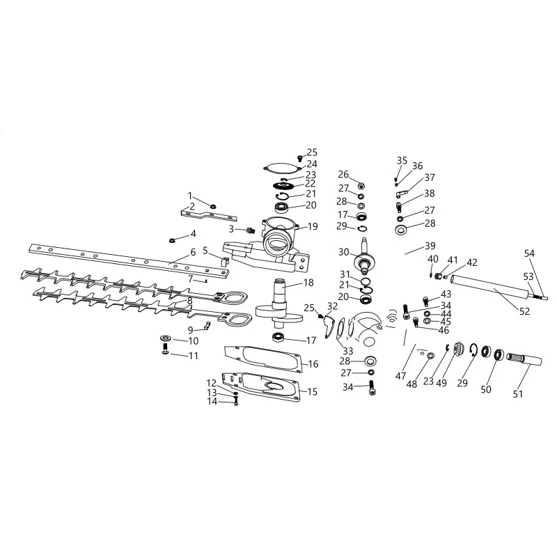newgardenstore-23809351