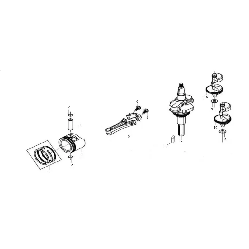 newgardenstore-23830924