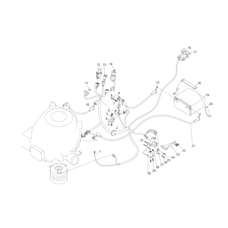 newgardenstore-23833958