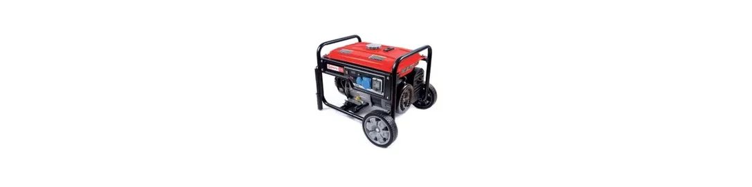 newgardenstore-23901949