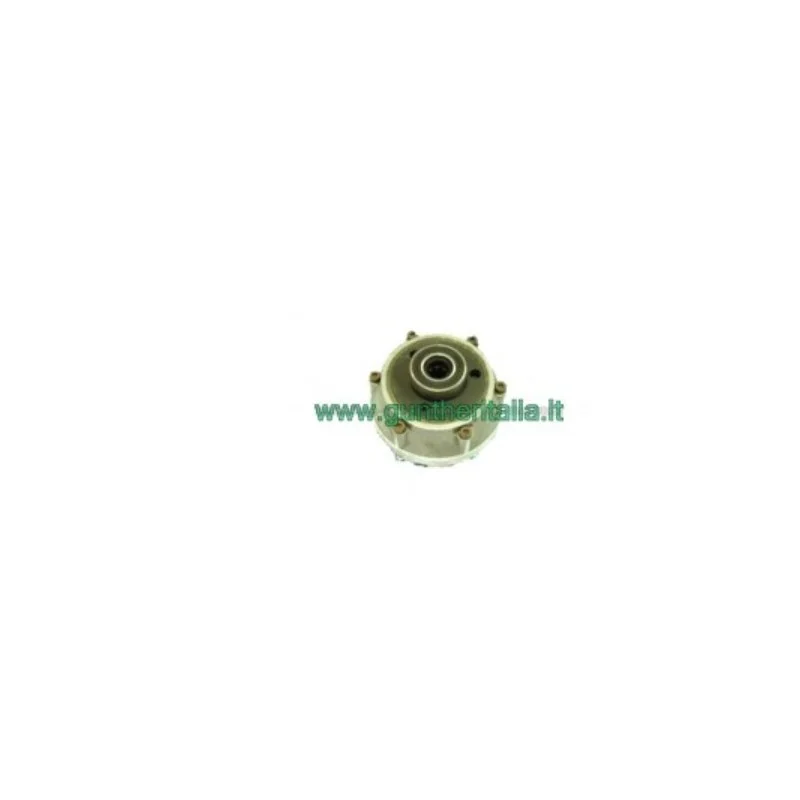 newgardenstore3018380