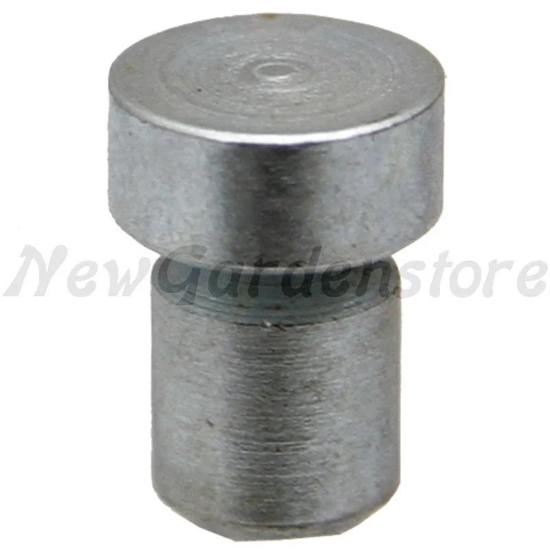 newgardenstore3403802