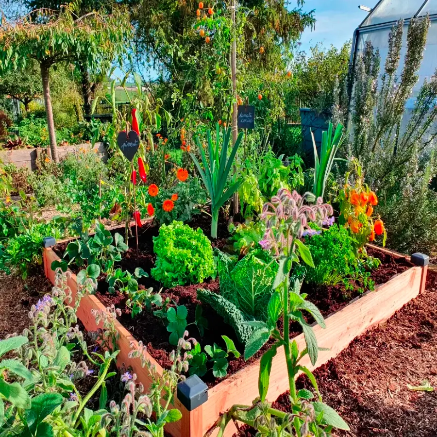 plantezcheznous2709567