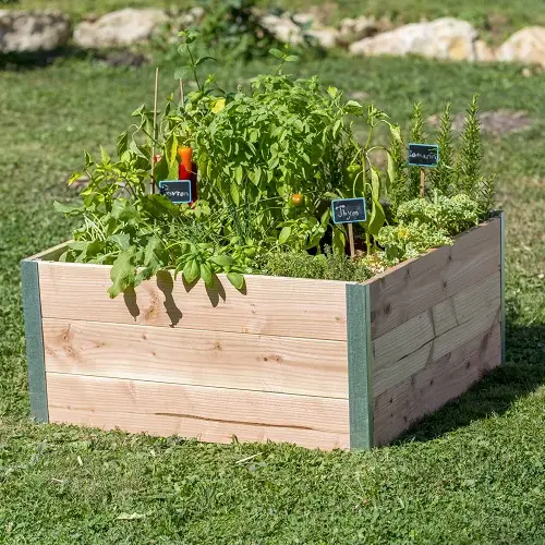 plantezcheznous2710502