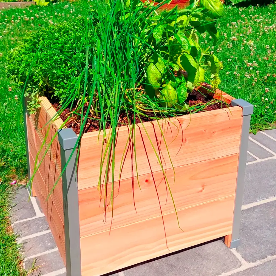 plantezcheznous2711550