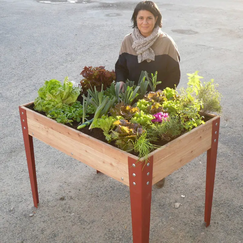 plantezcheznous2713667