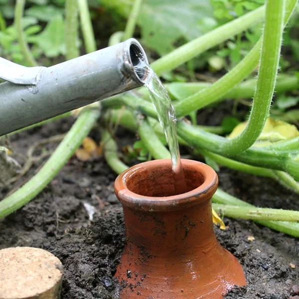plantezcheznous2750992