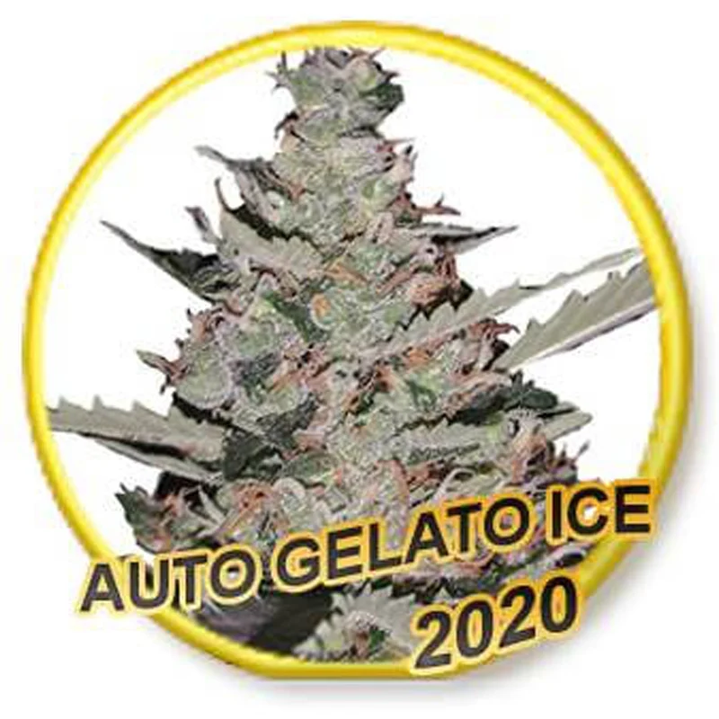 saltonverde2776727