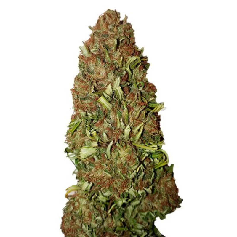 saltonverde2795441