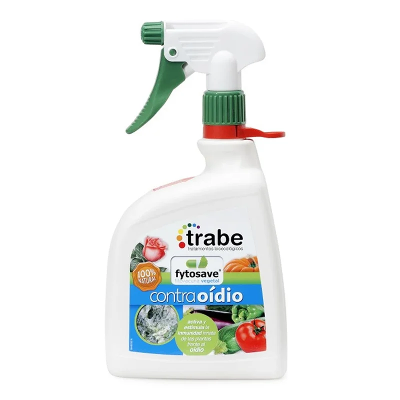 saltonverde2813800