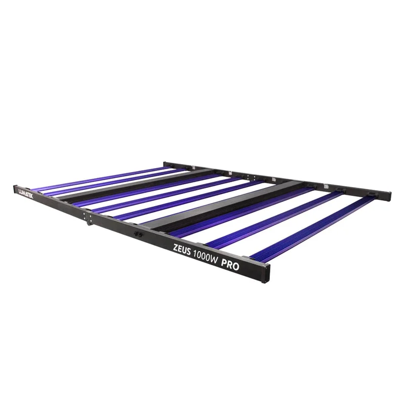 saltonverde2822709