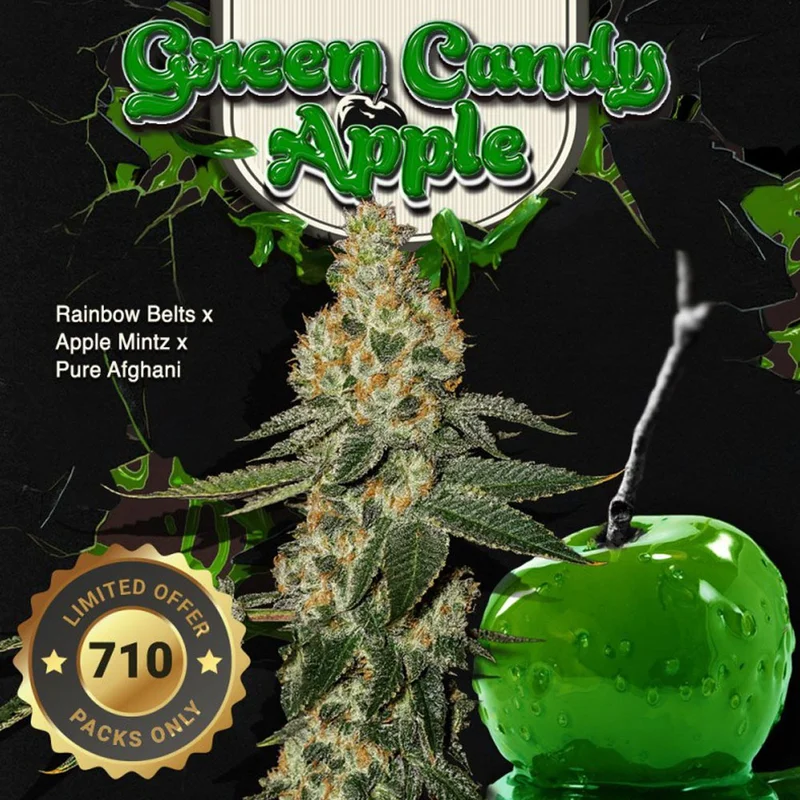 saltonverde2835549