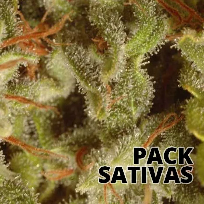 saltonverde2846047