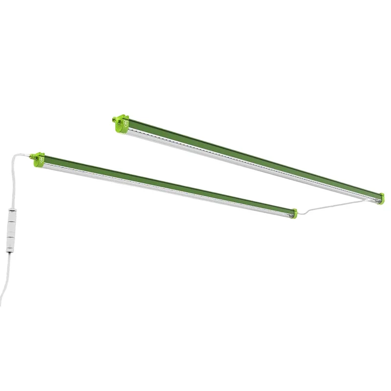saltonverde2850756