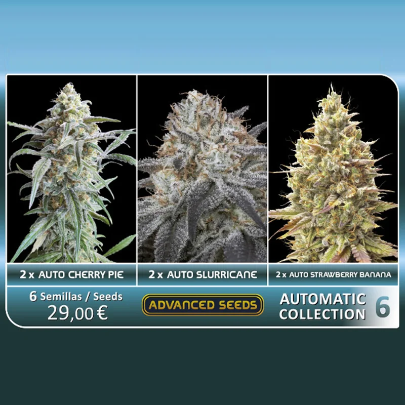 saltonverde2857218