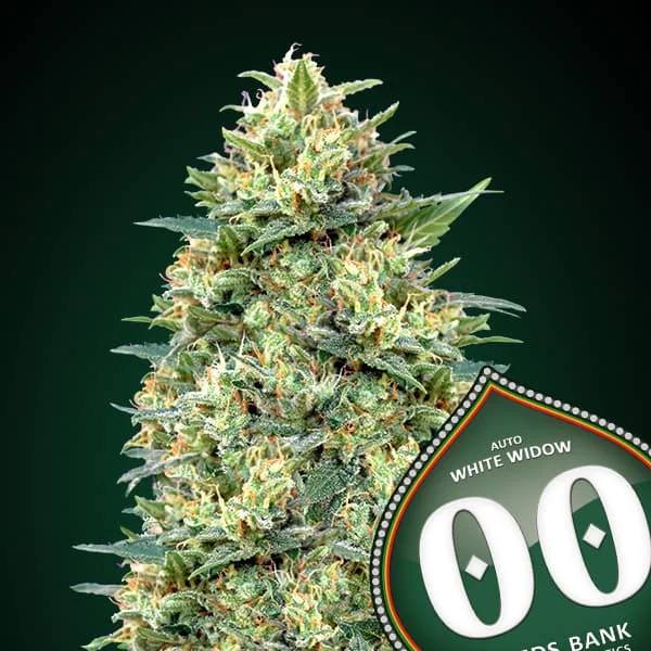 saltonverde2861846