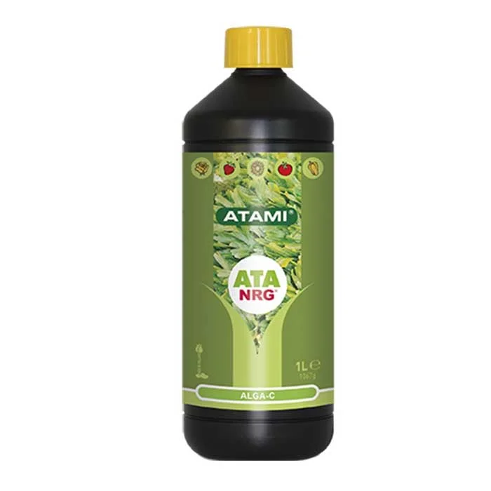 saltonverde2885301