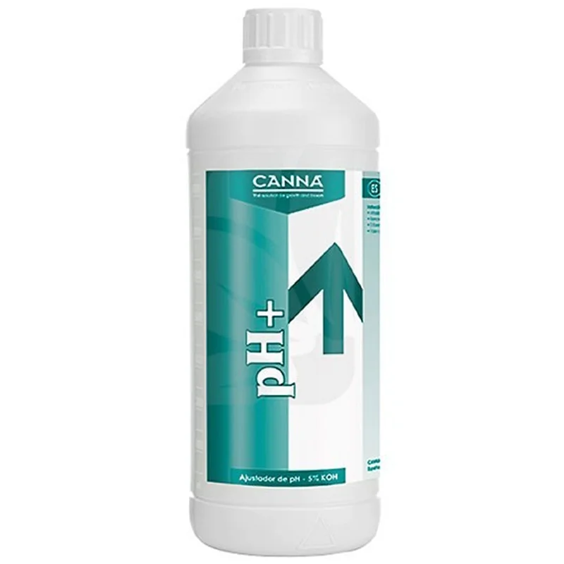 saltonverde2886473