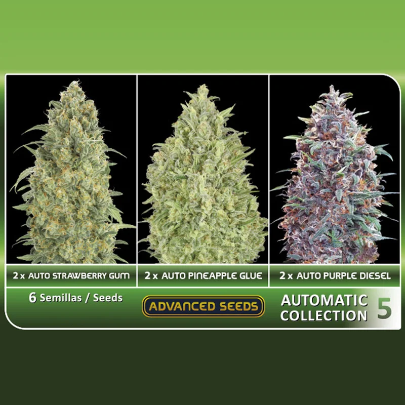 saltonverde2902953