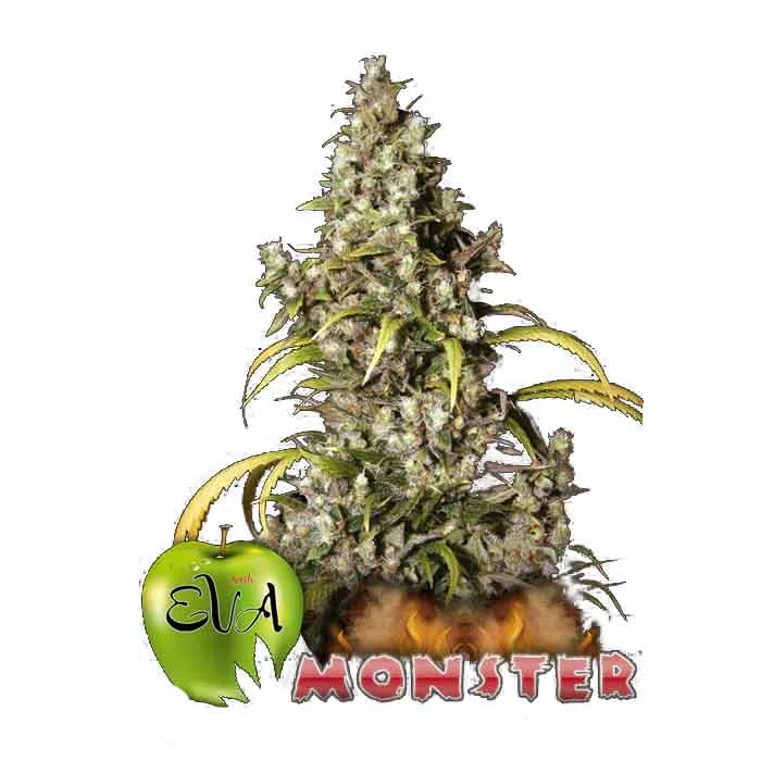 saltonverde2903030