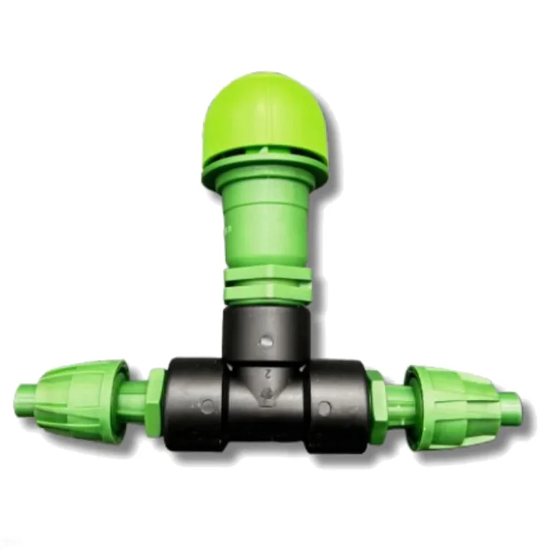 saltonverde2922766