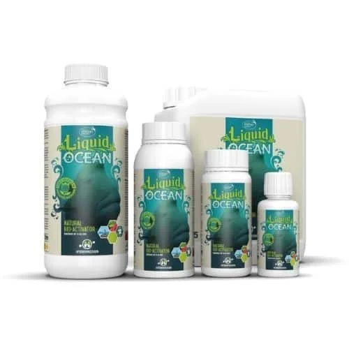 tchoukarshop2755609
